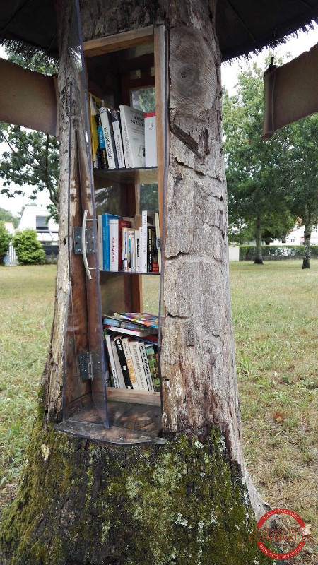 Canejan-1d-1 Canejan-1d-1