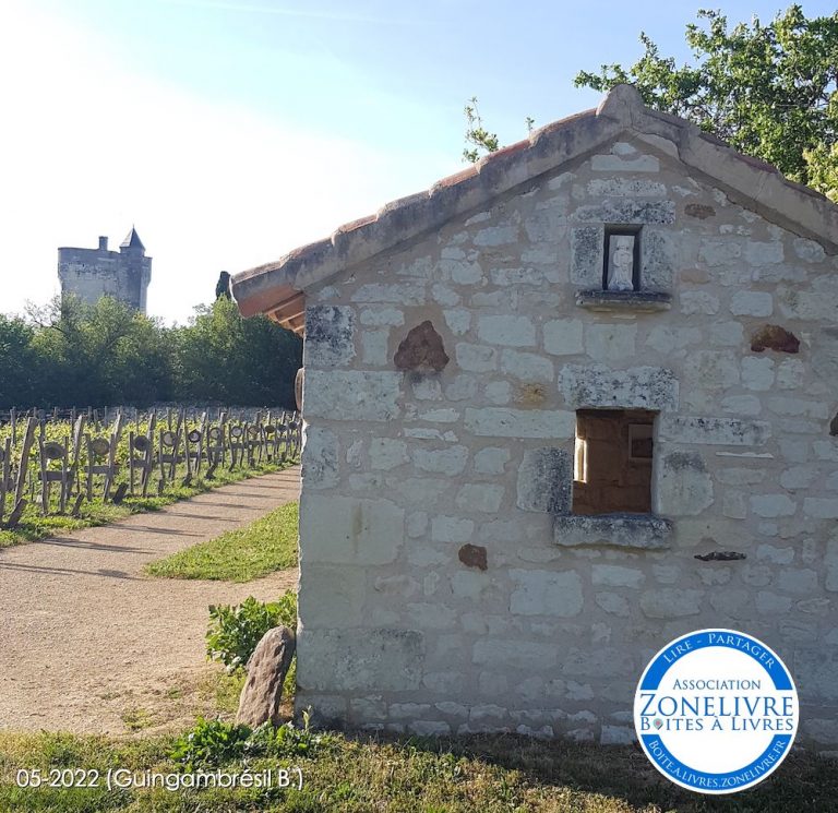 Curcay sur Dive 1b 1 768x745