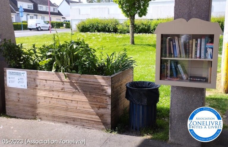 Saint Pol sur Ternoise 2b 1 768x497