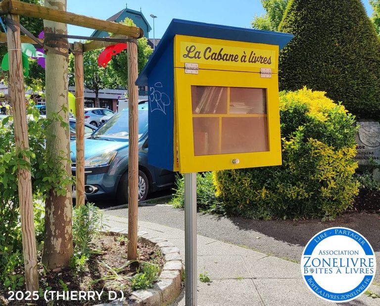 La Roche sur Foron 3a 768x618