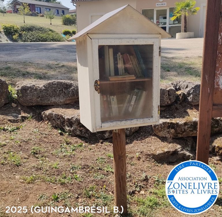 Chatillon 1a 768x748